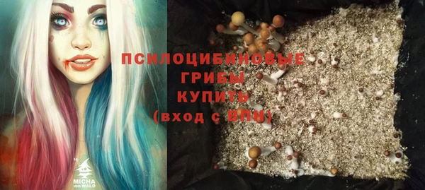 тгк Алзамай