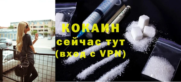 тгк Алзамай