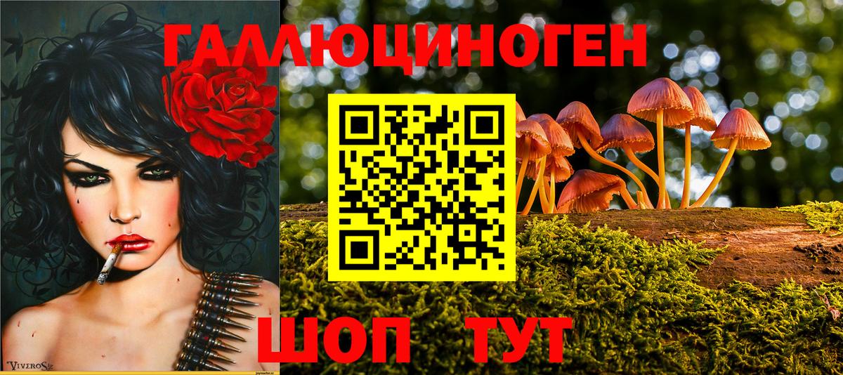 Псилоцибиновые грибы MAGIC MUSHROOMS Бердск