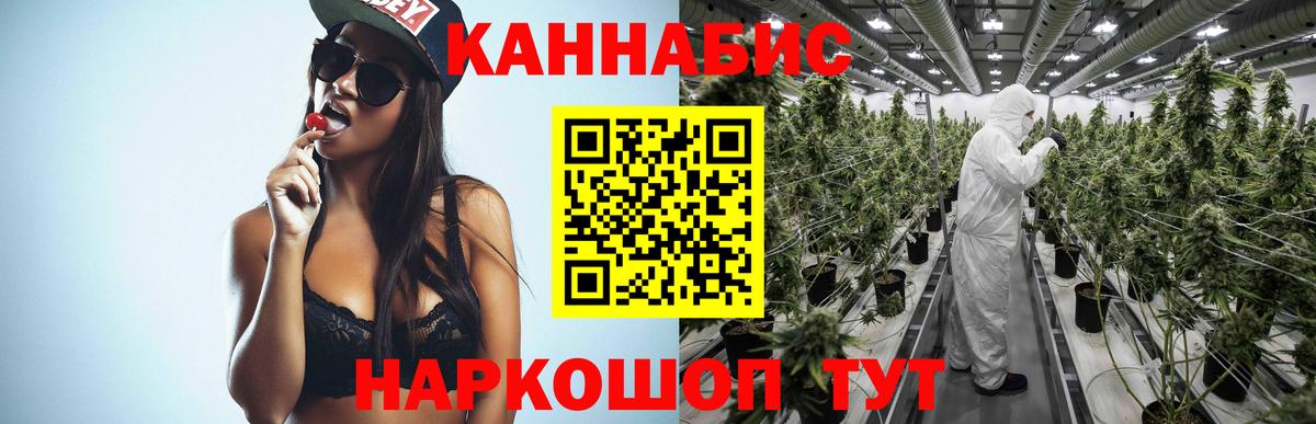 Каннабис OG Kush  Бошки Шишки ГИДРОПОН  Конопля Bruce Banner  Вход с VPN  Бердск 